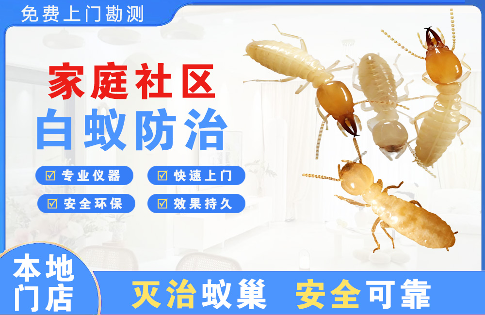 武穴家庭社区白蚁防治