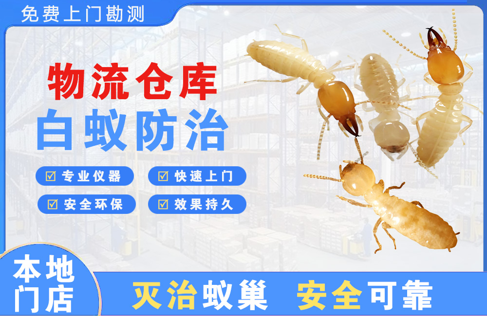 武穴物流仓库白蚁防治