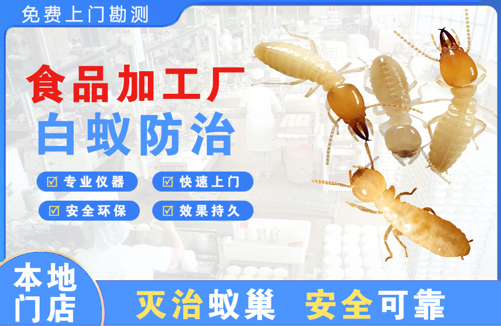 武穴食品加工厂白蚁防治