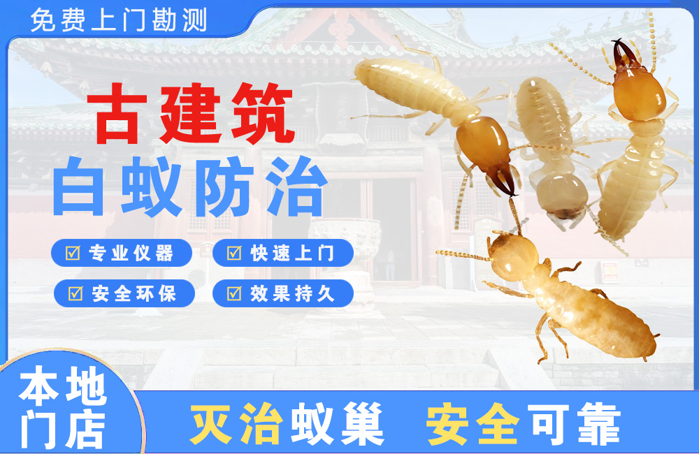 武穴古建筑白蚁防治