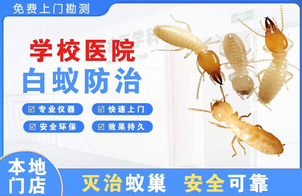 武穴学校医院白蚁防治