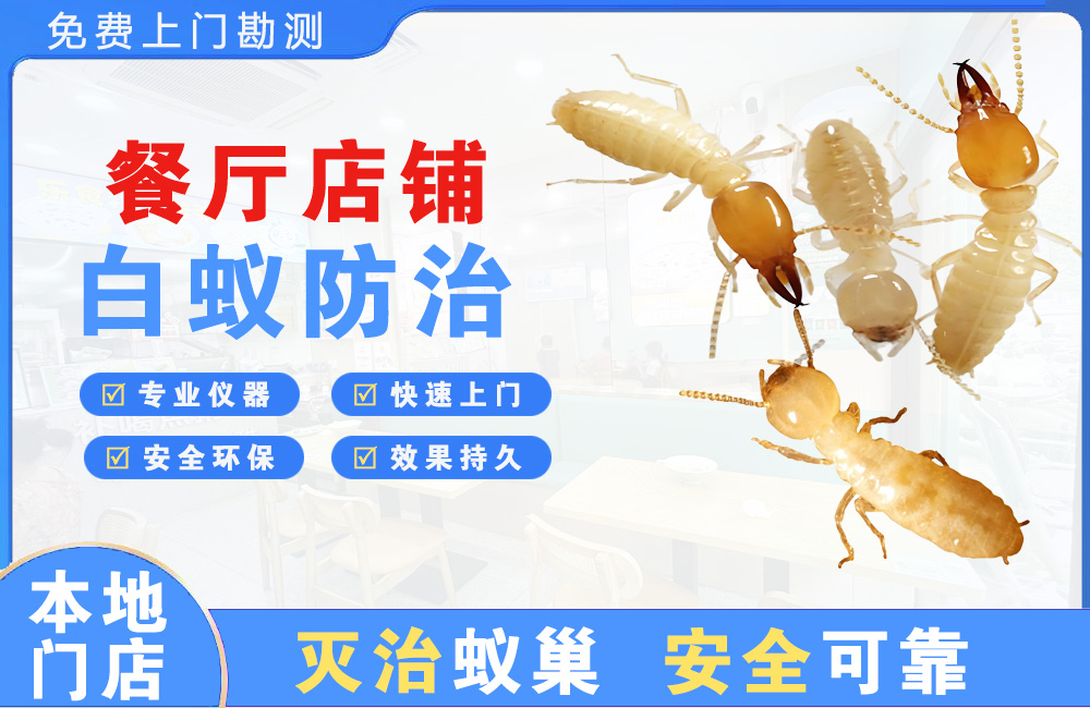 武穴餐厅店铺白蚁防治